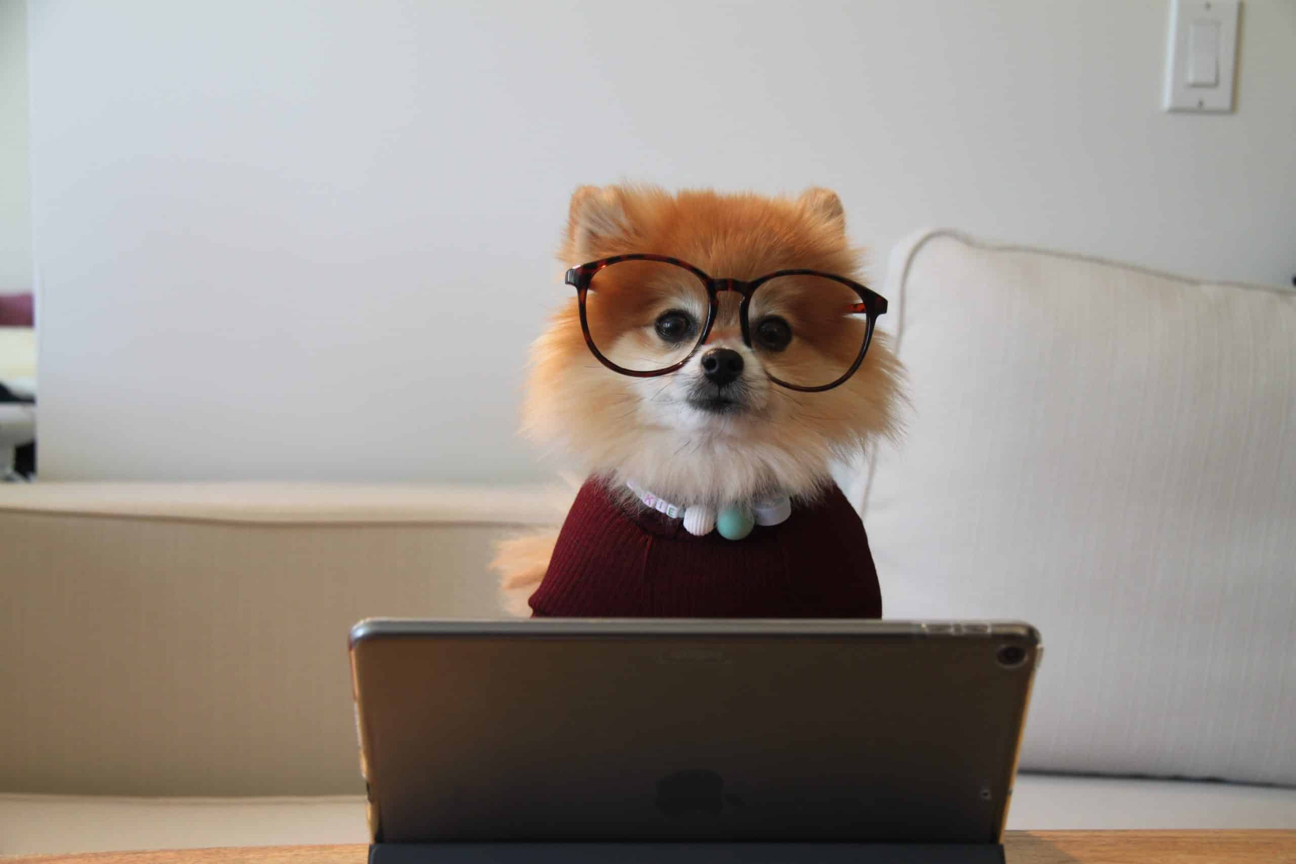 Social Recruiting Strategies and Tactics
