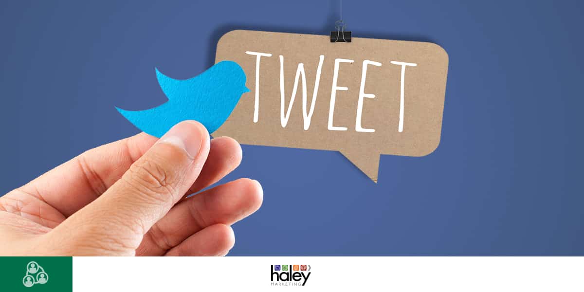 Haley Marketing Job Board & Twitter Cards
