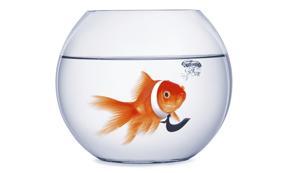 Staffing sales attention spans