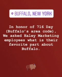 Haley Marketing